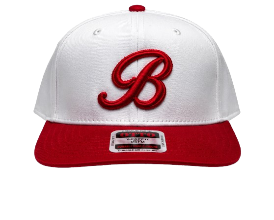 SIGNATURE TWO TONE SNAPBACK