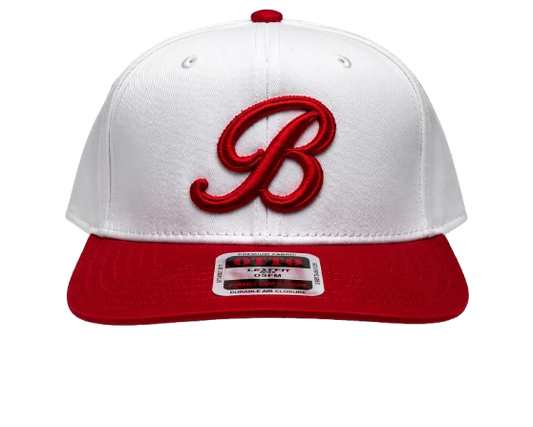 SIGNATURE TWO TONE SNAPBACK